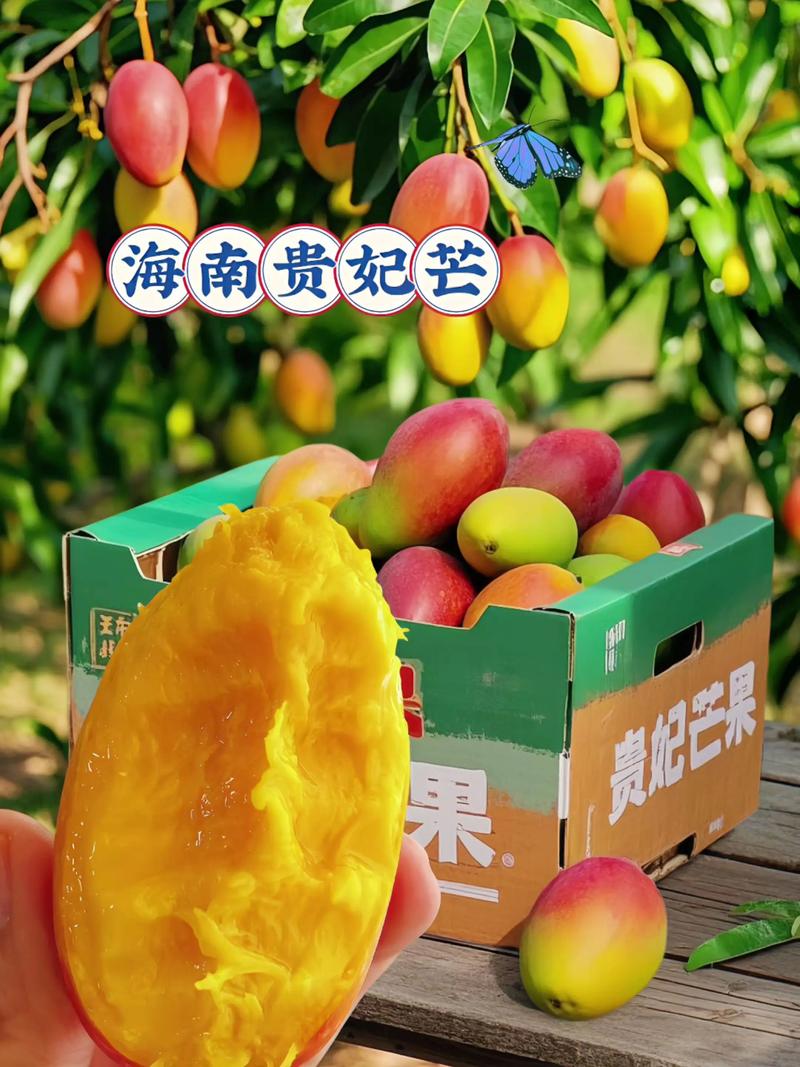 跨境电子商务